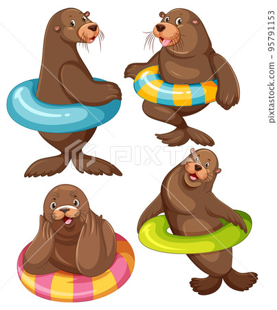 Set of different sea lions cartoon characters 95791153