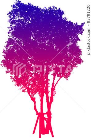 Gradient tree silhouette image. illustration with transparent background Gradient tree silhouette image. illustration with transparent background 95791220
