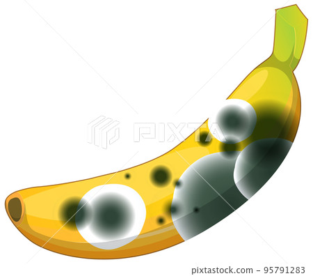 A banana with mould 95791283
