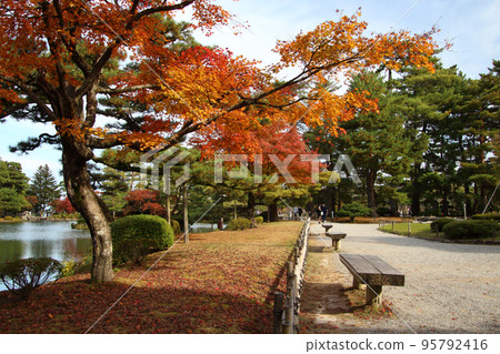 At Kenrokuen Garden with colored leaves (Kanazawa City, Ishikawa Prefecture) At Kenrokuen Garden with colored leaves (Kanazawa City, Ishikawa Prefecture) 95792416