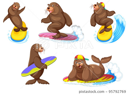 Set of different sea lions cartoon characters Set of different sea lions cartoon characters 95792769