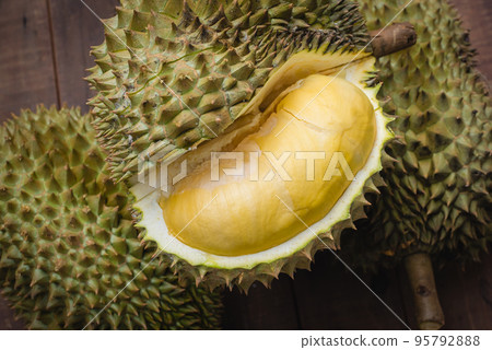 Mon Thong durian fruit from Thailand Mon Thong durian fruit from Thailand 95792888