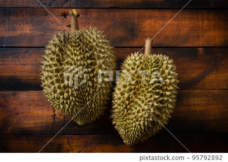 Mon Thong durian fruit from Thailand Mon Thong durian fruit from Thailand 95792892