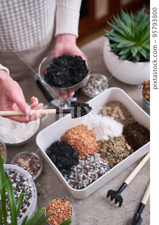 soil substrate preparation for transplanting houseplants on concrete background soil substrate preparation for transplanting houseplants on concrete background 95793800