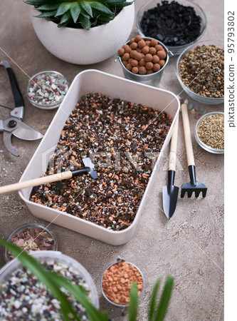 plastic box for soil substrate preparation for transplanting houseplants on concrete background plastic box for soil substrate preparation for transplanting houseplants on concrete background 95793802