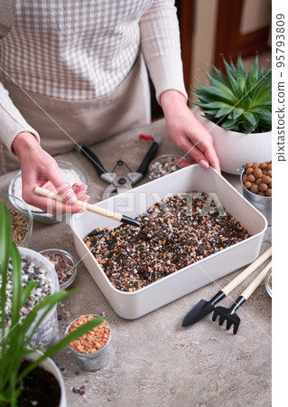 soil substrate preparation for transplanting houseplants on concrete background 95793809