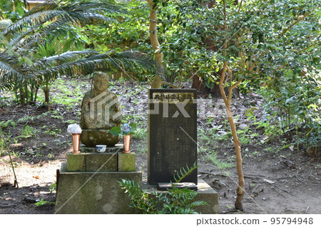 初夏的鎌倉圓覺寺 95794948