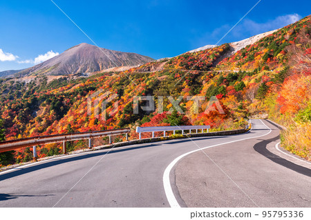 "Fukushima Prefecture" Tengu Garden/Bandai Azuma Skyline "Autumn leaves at its peak" 95795336