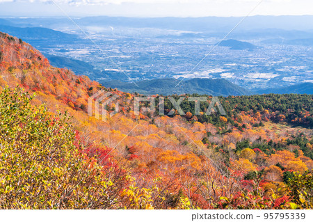 “福島縣”天狗花園/萬代吾妻天際線“紅葉高峰” 95795339