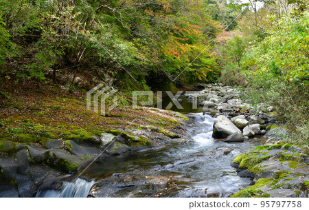 Scenery that is healed by the natural scenery of the clear stream in early autumn Scenery that is healed by the natural scenery of the clear stream in early autumn 95797758