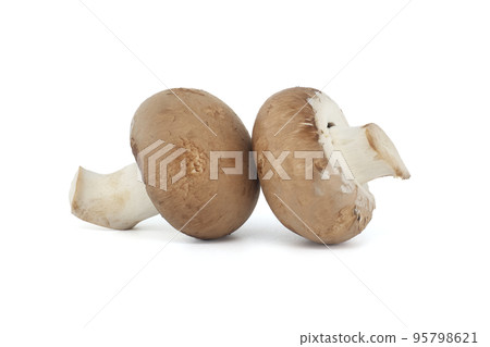 Baby Bella whole mushrooms over white background 95798621