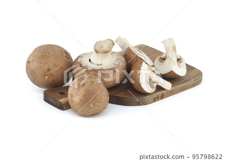 Baby portobellos mushrooms isolated on white Baby portobellos mushrooms isolated on white 95798622