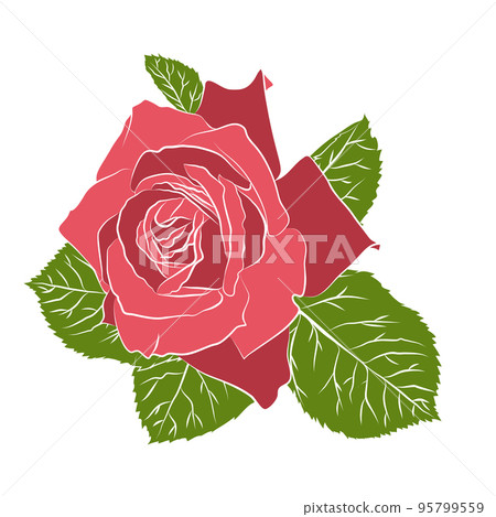 Beautiful hand drawn stencil rose, isolated on white background. Botanical silhouette of flower 95799559