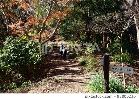 駒山公園（湘南平）遠足路線場地 Gokusawa Junction、紅葉和遠足者 95800230