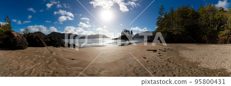 Sandy beach on Pacific Ocean Coast Panoramic View. Sunny Blue Sky. San Josef Bay 95800431
