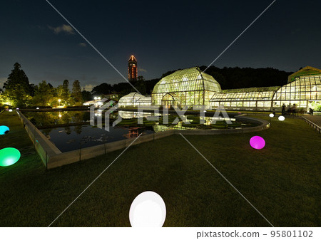 夜間動物園和花園 夜間動物園和花園 95801102