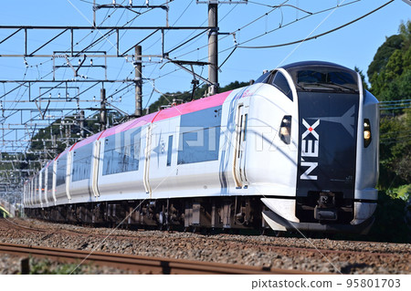 成田線佐倉酒酒井JR東E259系列Ne018編隊(鎌倉)成田特快NEX 成田線佐倉酒酒井JR東E259系列Ne018編隊(鎌倉)成田特快NEX 95801703