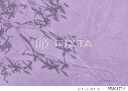 Shadow of leaves on purple concrete wall texture background Shadow of leaves on purple concrete wall texture background 95801734