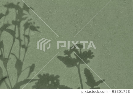Shadow of flowers on gray green concrete wall texture background Shadow of flowers on gray green concrete wall texture background 95801738
