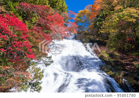 <<栃木縣>>秋葉湯瀧瀑布/奧日光的秋天 95801780