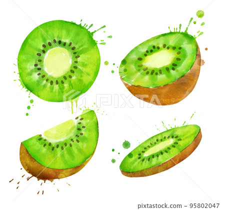 Watercolor set of isolated whole and sliced kiwi 95802047