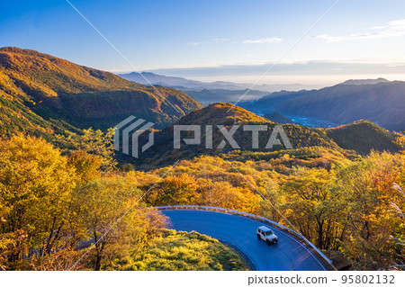 （栃木縣）紅葉日光伊呂波坂大道 95802132