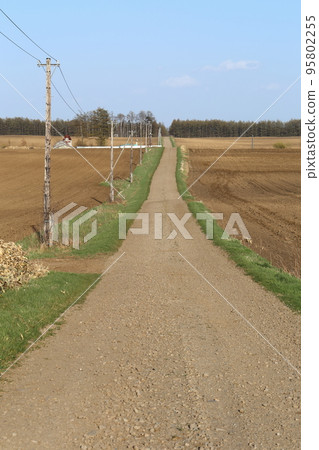 北海道、十勝地區、牧場風景（春季） 95802255