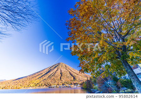 (Tochigi Prefecture) Mt. Nantai seen from Lake Chuzenji in autumn 95802614
