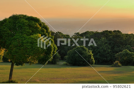 Sunshine lawn in Taichung Metropolitan Park, Taiwan, with beautiful mountain scenery and beautiful golden background in the distance at sunrise. Sunshine lawn in Taichung Metropolitan Park, Taiwan, with beautiful mountain scenery and beautiful golden background in the distance at sunrise. 95802621