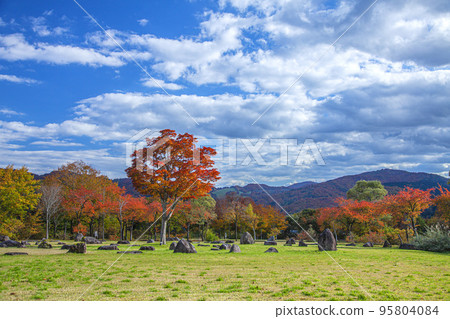 秋天的由美張平公園 秋天的由美張平公園 95804084