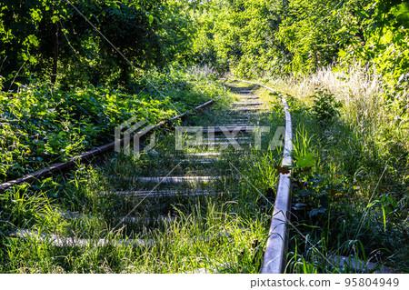 contrast rusty train railway in green grass overgrown contrast rusty train railway in green grass overgrown 95804949