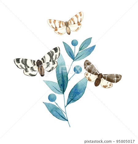 Composition of illustrated blue plant and brown butterflies. Hand drawn watercolor moths on branch with leaves. Arrabgement for packaging, label, stationery and greeting card. Flying insects. 95805017
