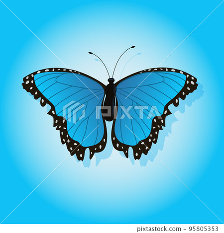 Bright butterfly on a colored background with a shadow. Bright butterfly on a colored background with a shadow. 95805353