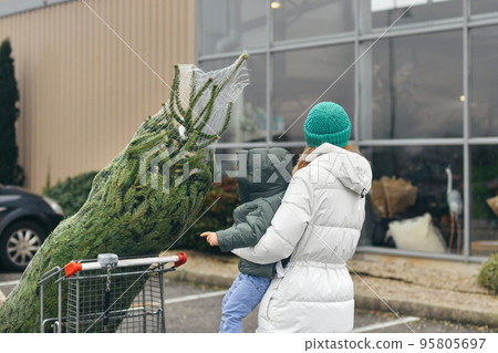 Mother bought a Christmas tree in the market Mother bought a Christmas tree in the market 95805697