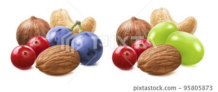 Fresh cranberry, raisin, hazelnut, almond, walnut and cashew nut set isolated on white background 95805873