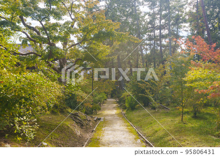 Toshodaiji Temple grounds that look like a Japanese garden (Gojo-cho, Nara City, Nara Prefecture) 95806431