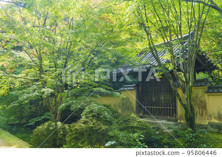 Oryobo front gate of Toshodaiji Temple surrounded by fresh greenery Oryobo front gate of Toshodaiji Temple surrounded by fresh greenery 95806446