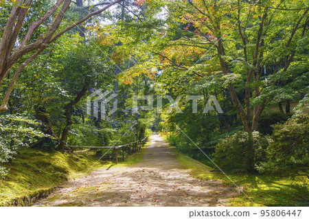 Toshodai-ji Temple: Beautiful precincts like a Japanese garden (Gojo-cho, Nara City, Nara Prefecture) Toshodai-ji Temple: Beautiful precincts like a Japanese garden (Gojo-cho, Nara City, Nara Prefecture) 95806447