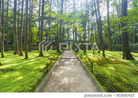 Toshodaiji Temple Kanji Kazami Kamiyama Gate of the Mausoleum 95806485
