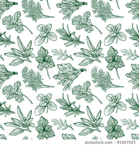 Seasonings and herbs seamless pattern. 95807025