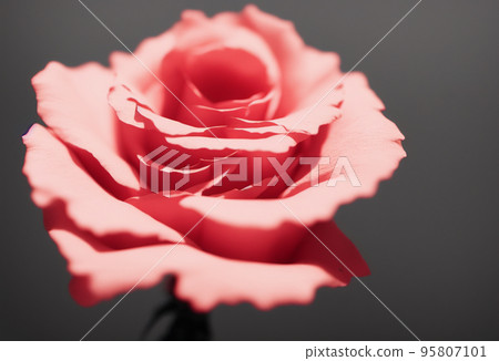 Colorful flower bouquet from red roses for use as background. Banner size.3d 95807101