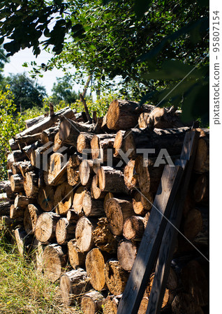 A stack of firewood, sawn wood in the backyard. Vertical photo. A stack of firewood, sawn wood in the backyard. Vertical photo. 95807154