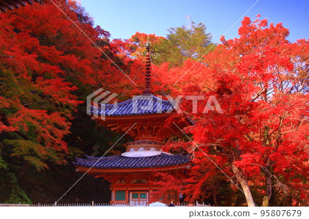 山中大德寺的牛瀧山紅葉（大阪府岸和田市） 95807679