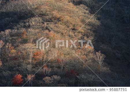 [Gunma Prefecture] Mt. Akagi in late autumn 95807731