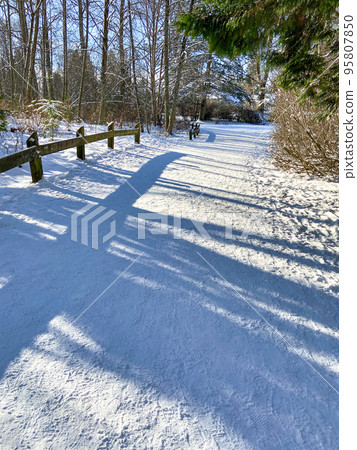 Walkway in a park on bright winter day 95807850