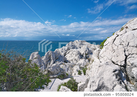 【白崎海洋公園】和歌山縣日高區由良町大木 95808024