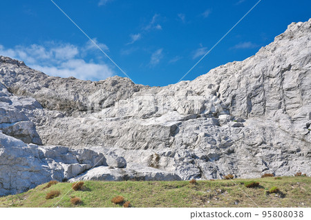 【白崎海洋公園】和歌山縣日高區由良町大木 95808038