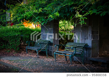Landscape with a quaint green bench under a wisteria ledge surrounded by trees Landscape with a quaint green bench under a wisteria ledge surrounded by trees 95808338