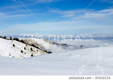 Winter landscape with snow from Alps 95810319