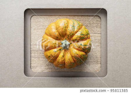 orange pumpkin in a frame orange pumpkin in a frame 95811385